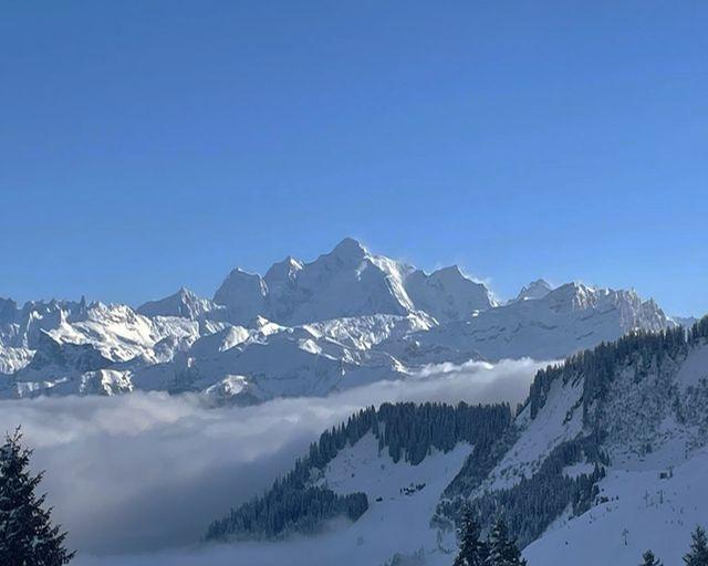 2026-11-01-Lo-Sommand